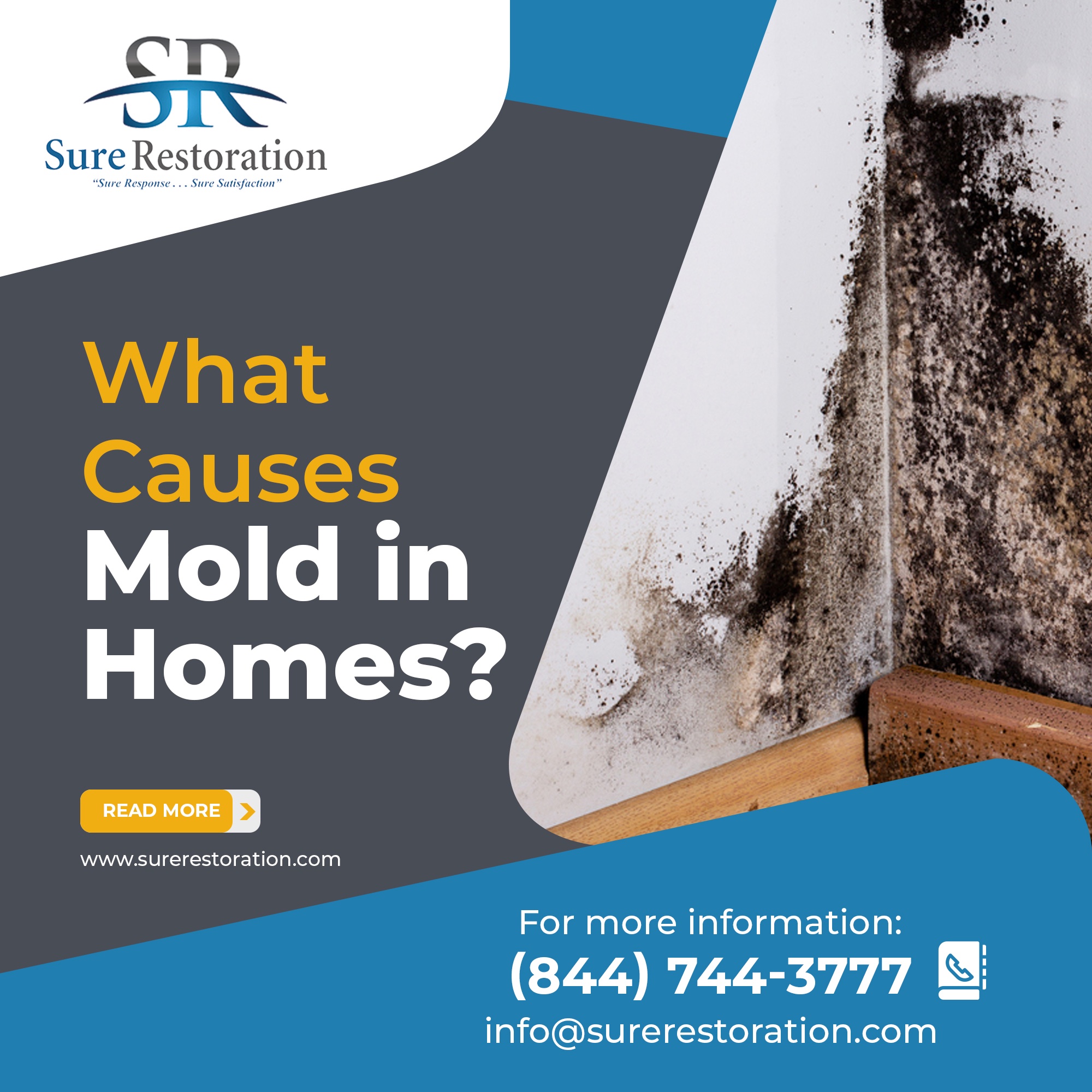 What Causes Mold in Homes? SR Restoration & Construction